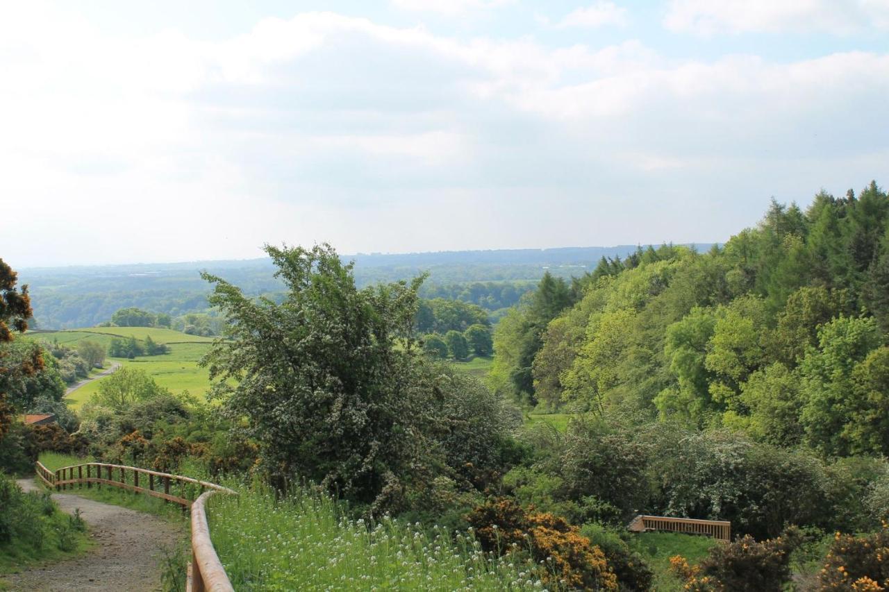 Yorkshire Dales Lodge 10 Ensuite Richmond  Ngoại thất bức ảnh