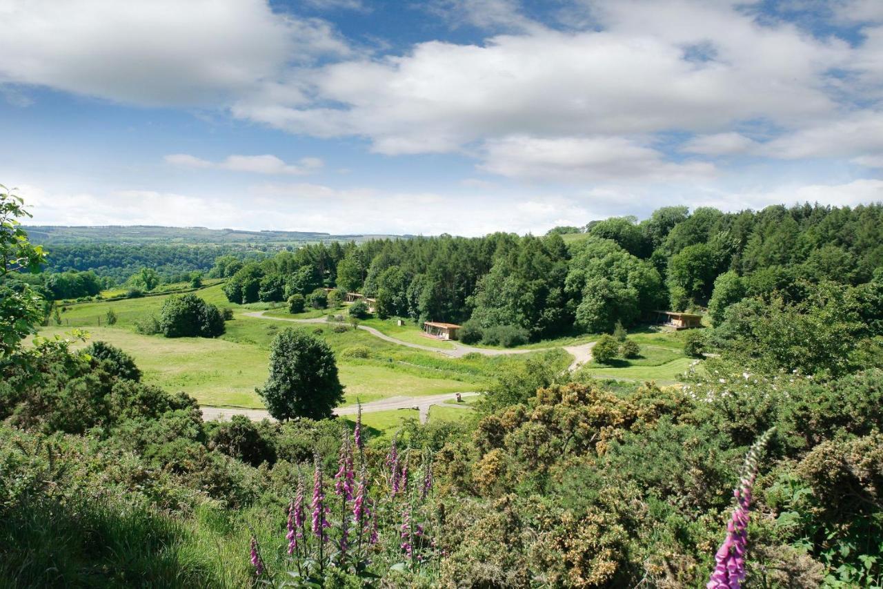 Yorkshire Dales Lodge 10 Ensuite Richmond  Ngoại thất bức ảnh